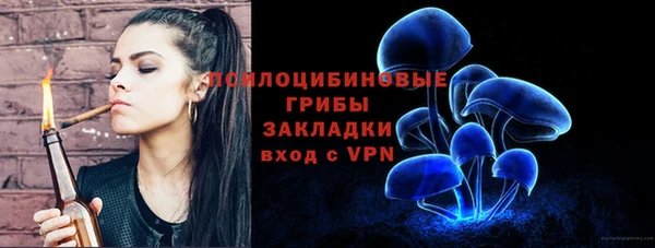 гидропоника Бердск