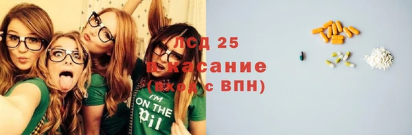 сатива Ачинск