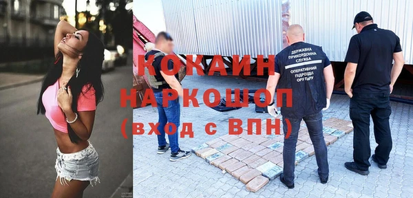 сатива Ачинск