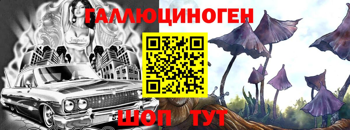 Троицк  где купить наркотик  Вход с VPN  Псилоцибиновые грибы Cubensis 