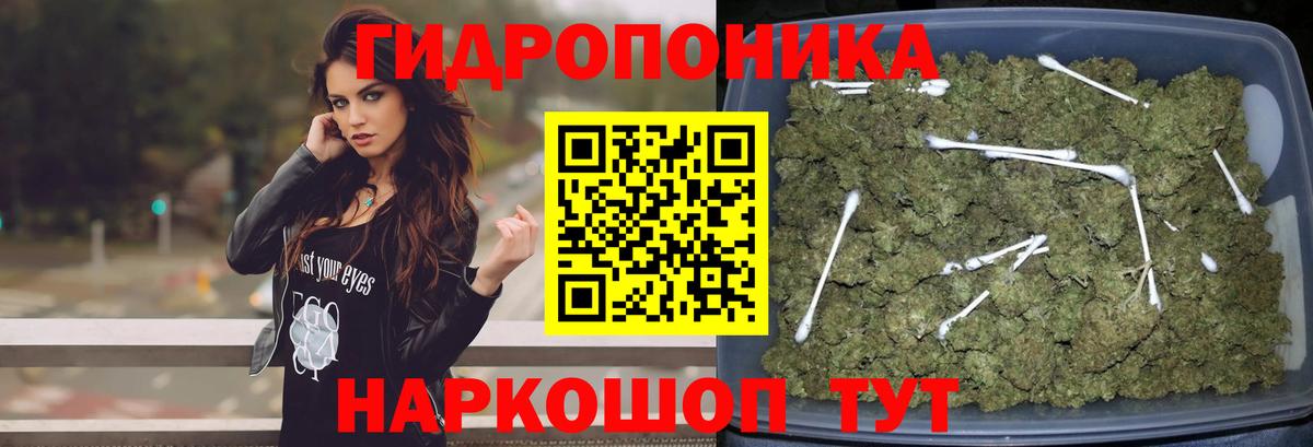 Бошки Шишки Bruce Banner Троицк